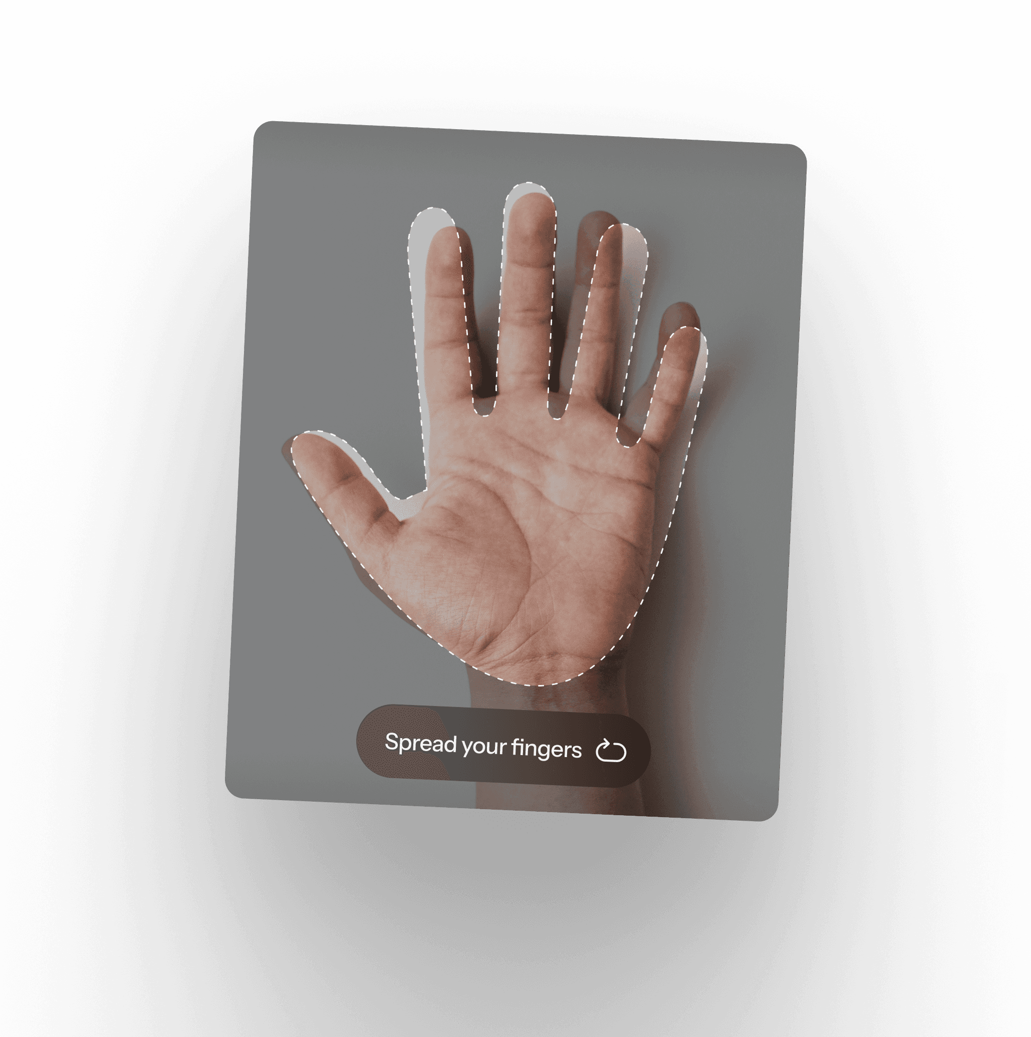 Palm scan interface